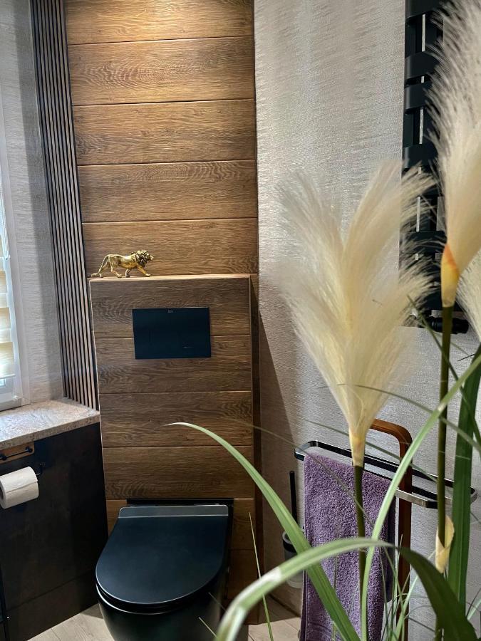 Pod Lwem Apartment Koscierzyna Luaran gambar