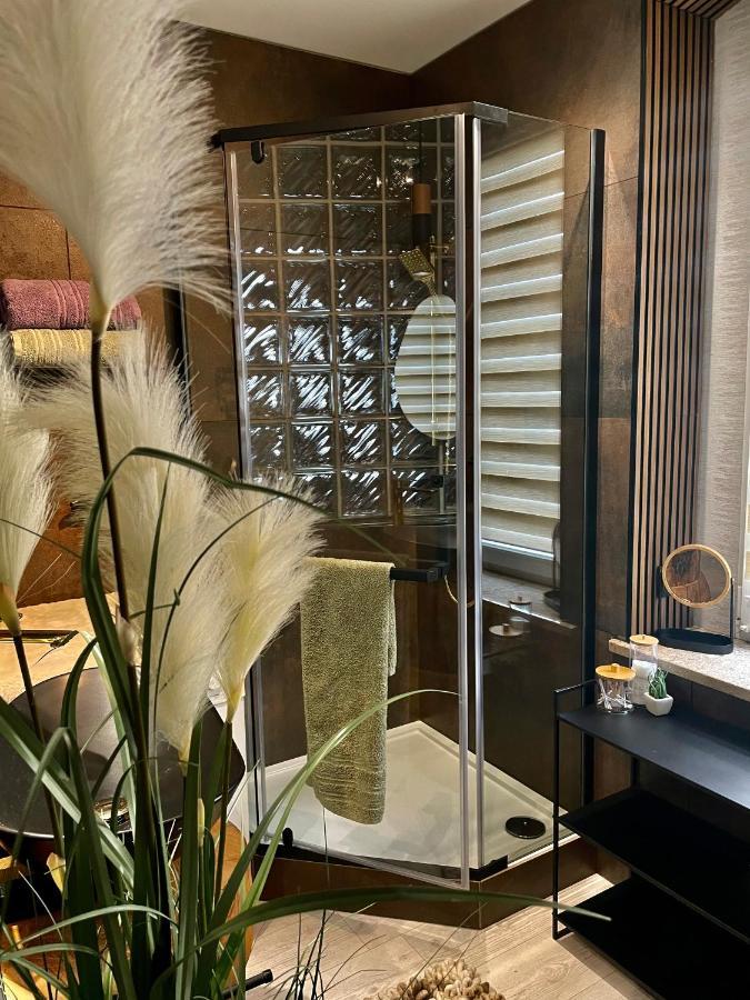 Pod Lwem Apartment Koscierzyna Luaran gambar