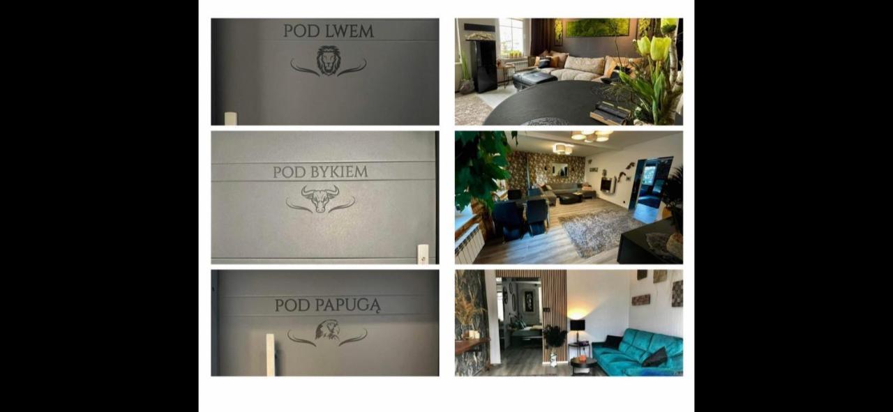 Pod Lwem Apartment Koscierzyna Luaran gambar